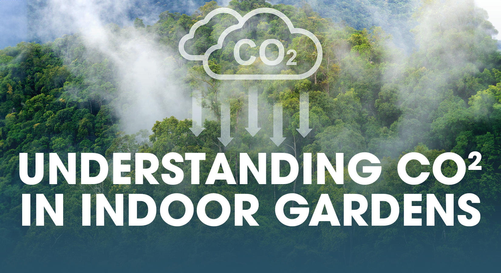 Cultivating Success: Understanding CO2 in Indoor Gardens