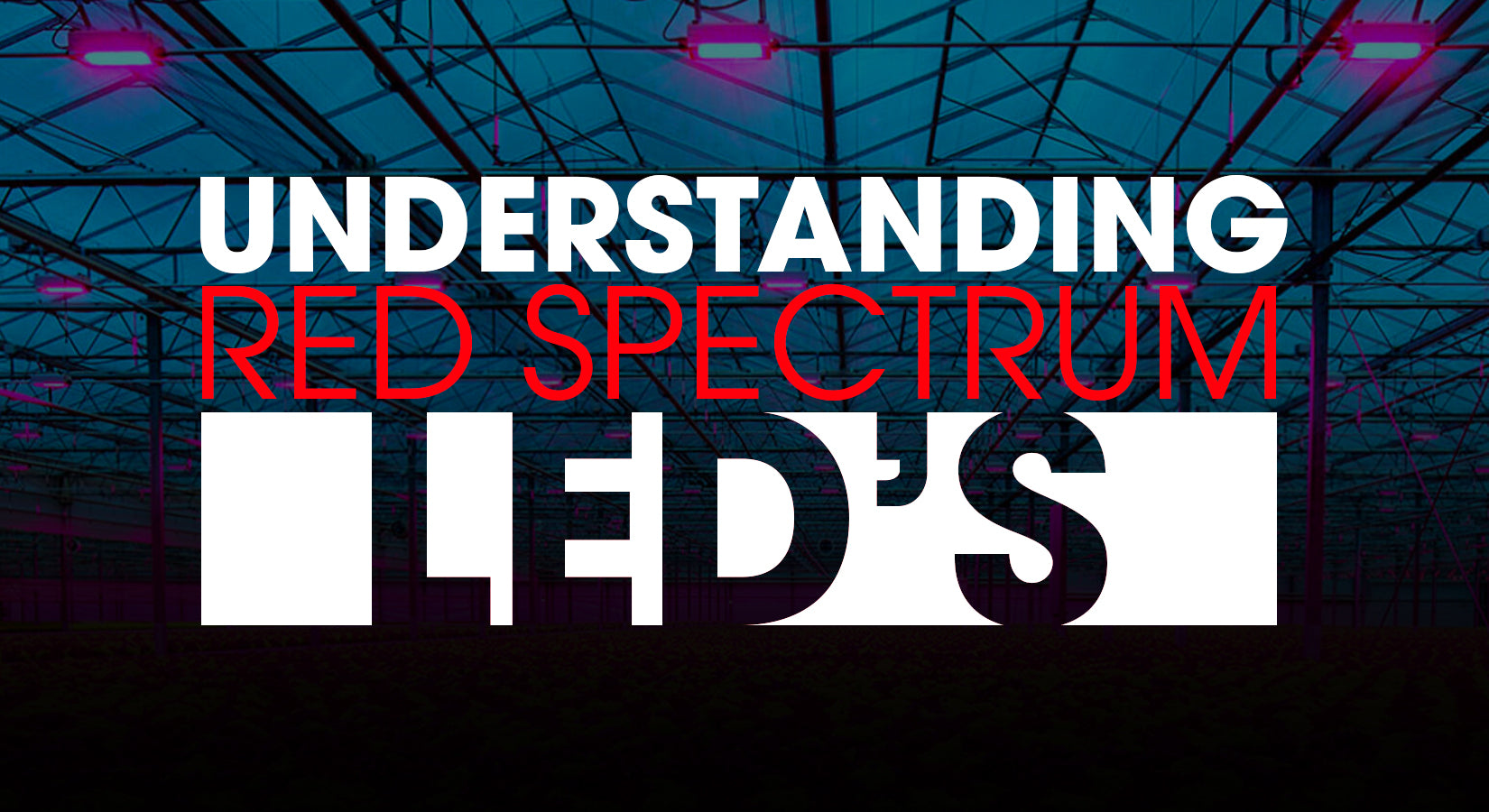 Understanding Red Spectrum LEDs