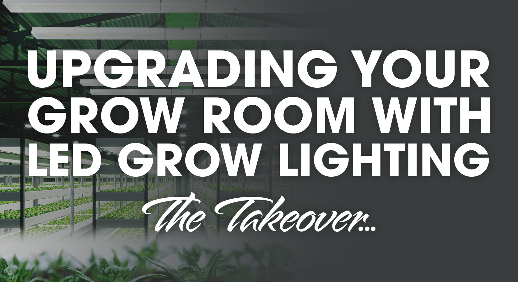 Upgrading Your Grow Room with LED Lighting (The Takeover)