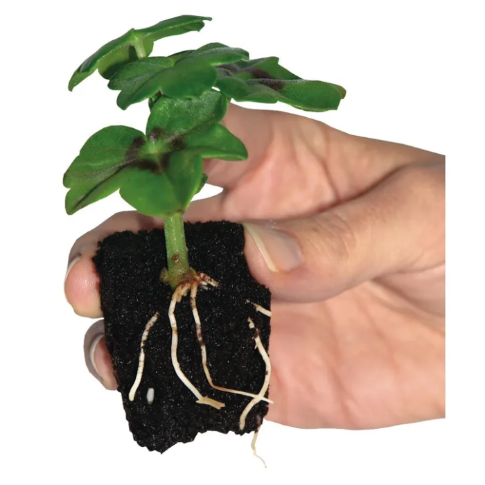 Root It Peat Free Refill Bag