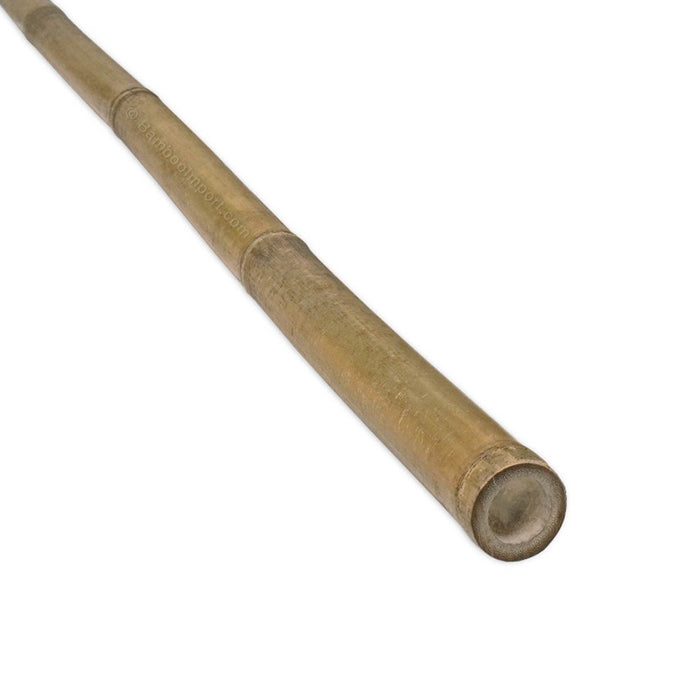 Bamboo Cane x5