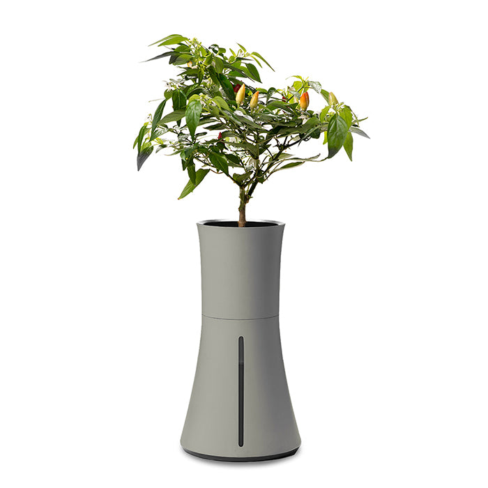 Botanium Self-watering Single Planter 2