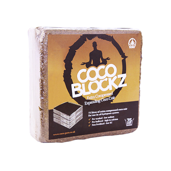 Coco Guru – Blockz