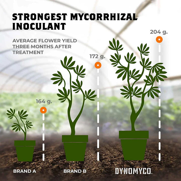 Dynomyco 200g Stick