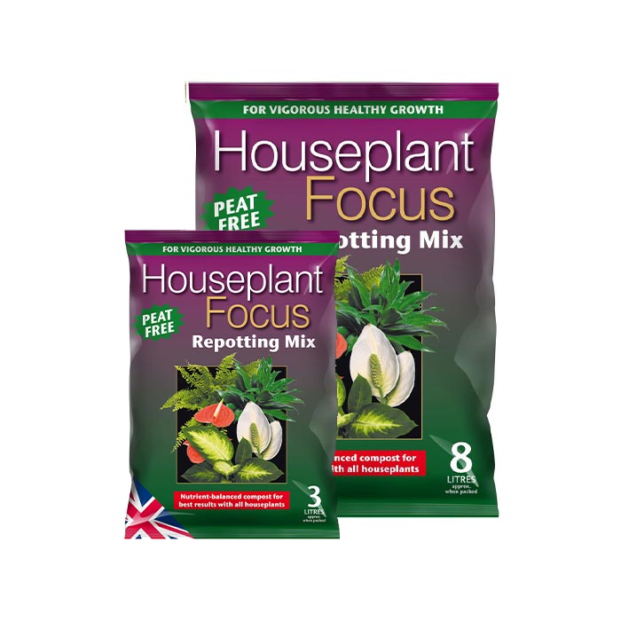 Houseplant Focus Repotting Mix 1