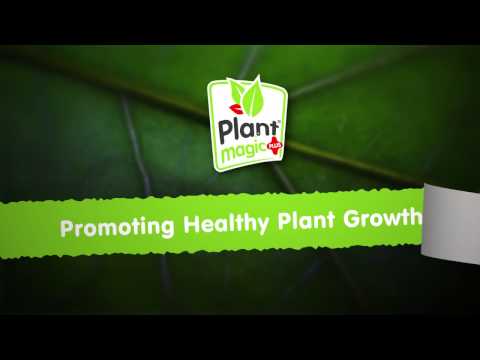 Plant Magic Plus Veg Boost