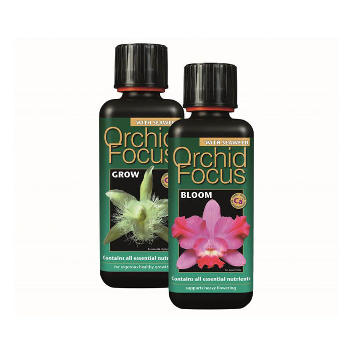 Orchid Focus Grow & Bloom