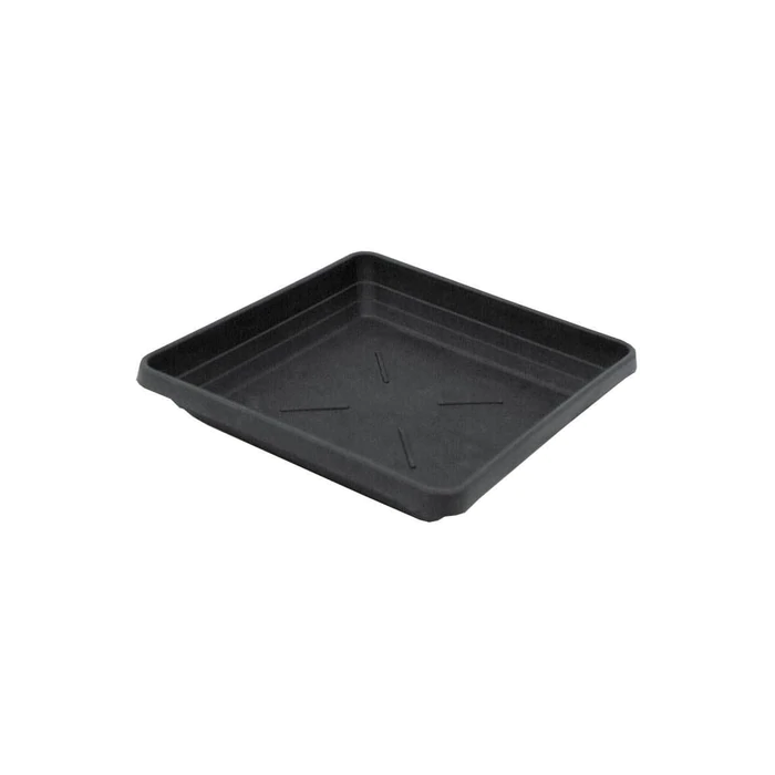 Square Black Saucer