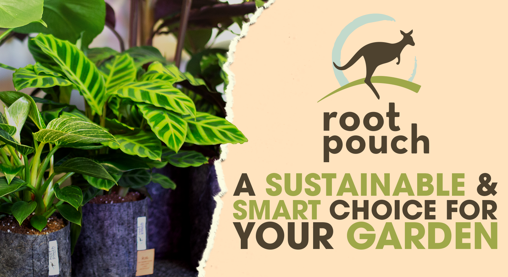 Root Pouches: A Sustainable and Smart Choice for Your Garden