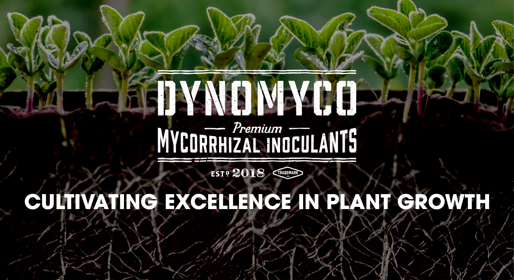Dynomyco: Cultivating Excellence in Plant Growth