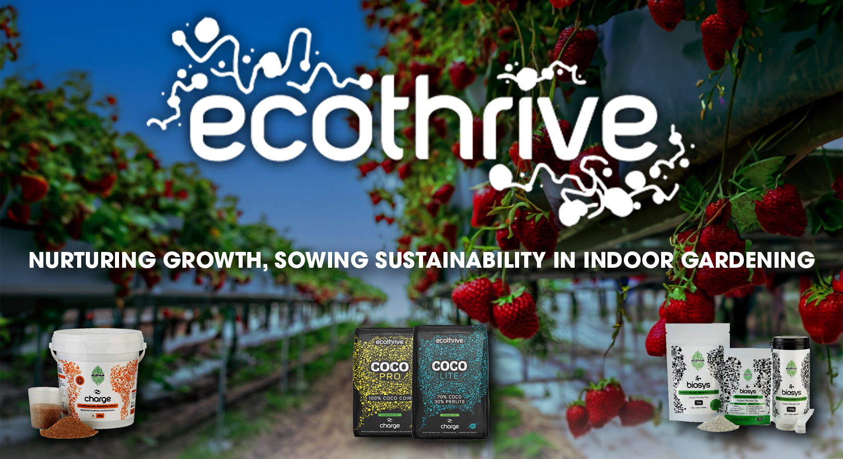 Ecothrive: Nurturing Growth, Sowing Sustainability in Indoor Gardening