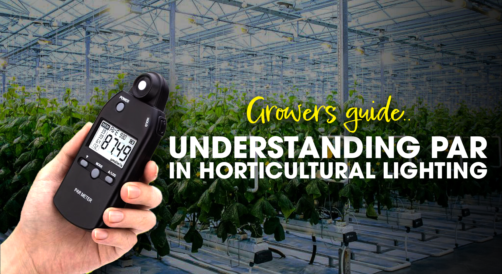 Understanding PAR in Horticultural Lighting: A Guide for Growers