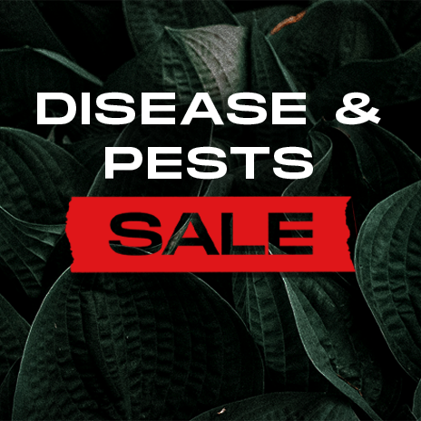 Sale/Disease & Pest [SALE]