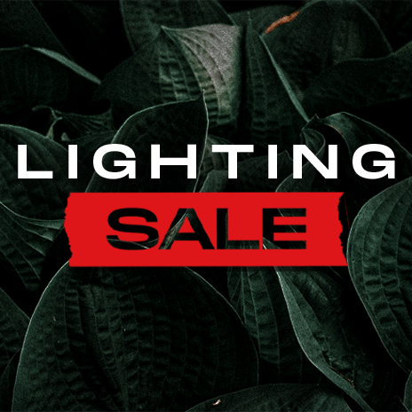 Sale/Lighting [SALE]