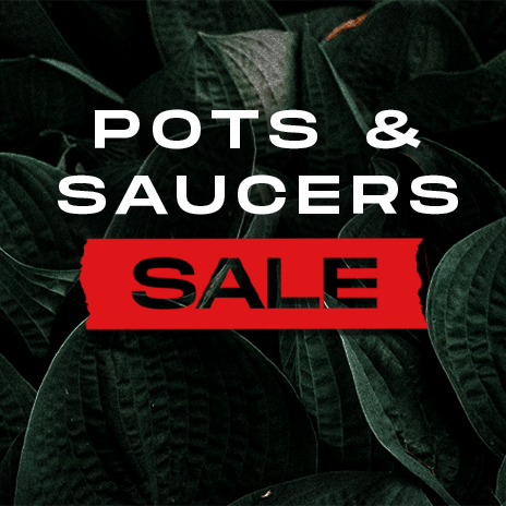 Sale/Pots [SALE]