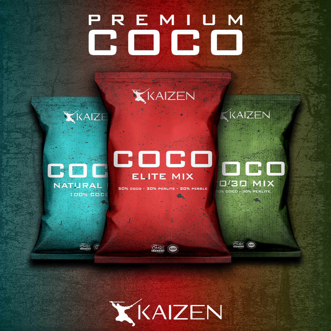 Kaizen Premium COCO