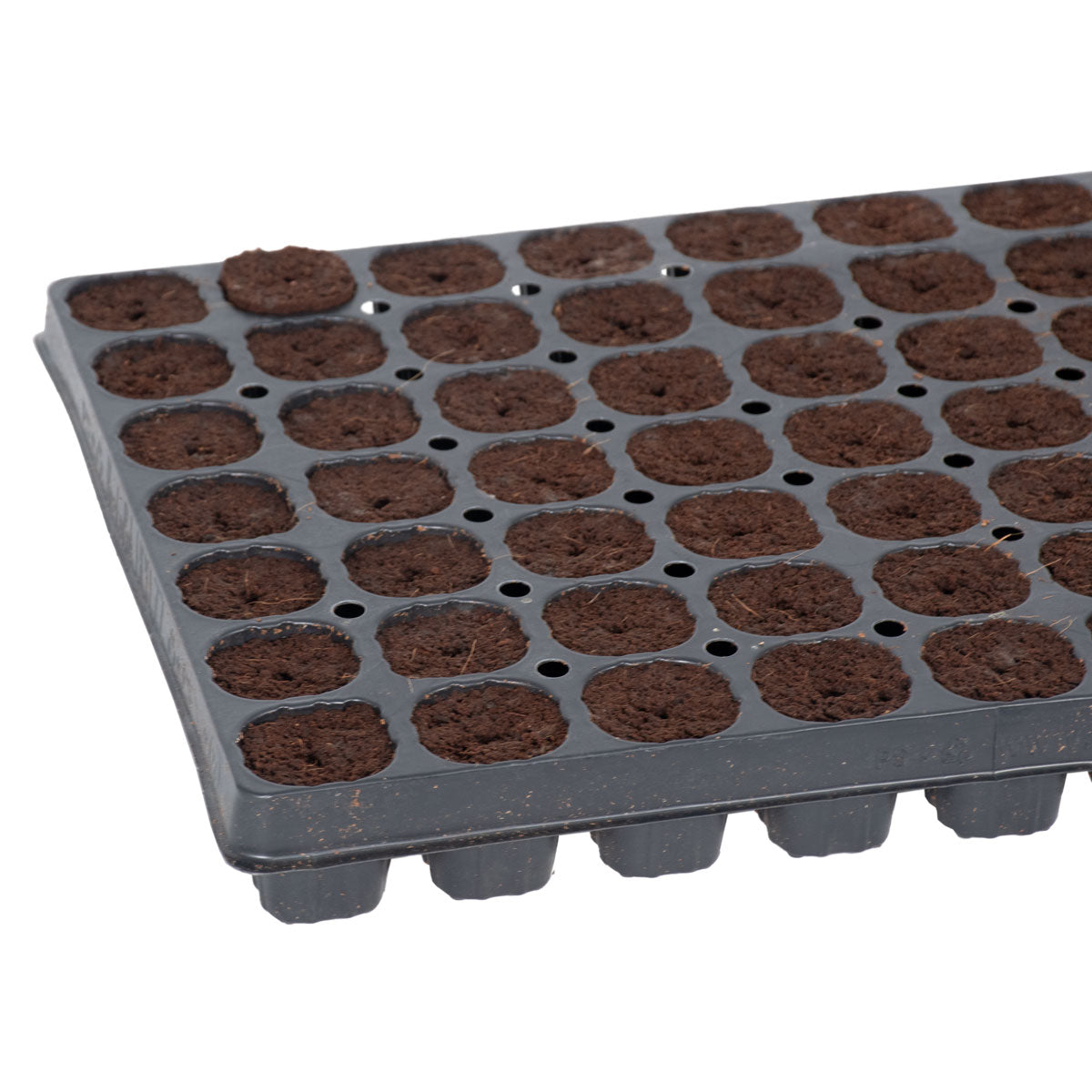 Plug Life Big Phat Mother Plugger 77 Tray