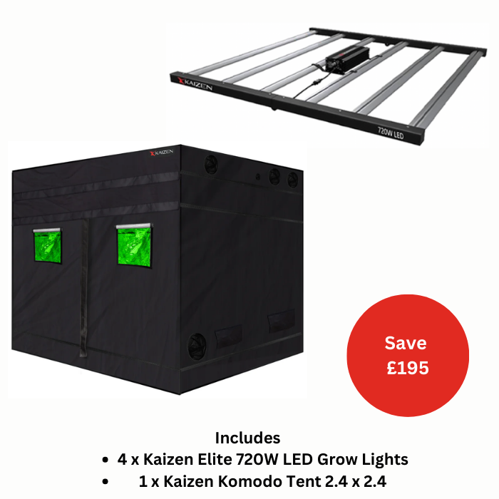 Kaizen Basic Komodo Tent and LED Bundle