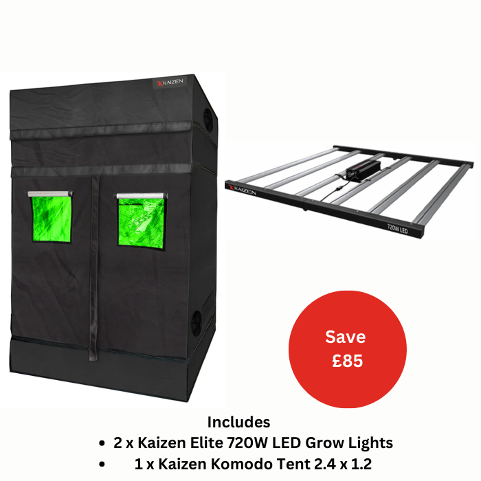 Kaizen Basic Komodo Tent and LED Bundle