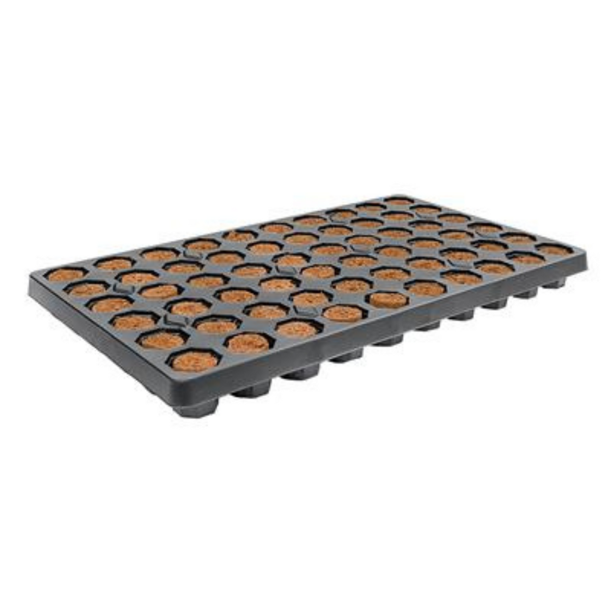 Root It Root It Peat Free Tray | Hydroponic Propagation | Holland Horticulture
