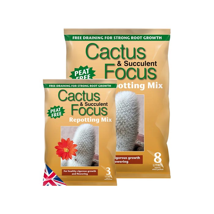 Cactus & Succulent Focus Repotting Mix 1