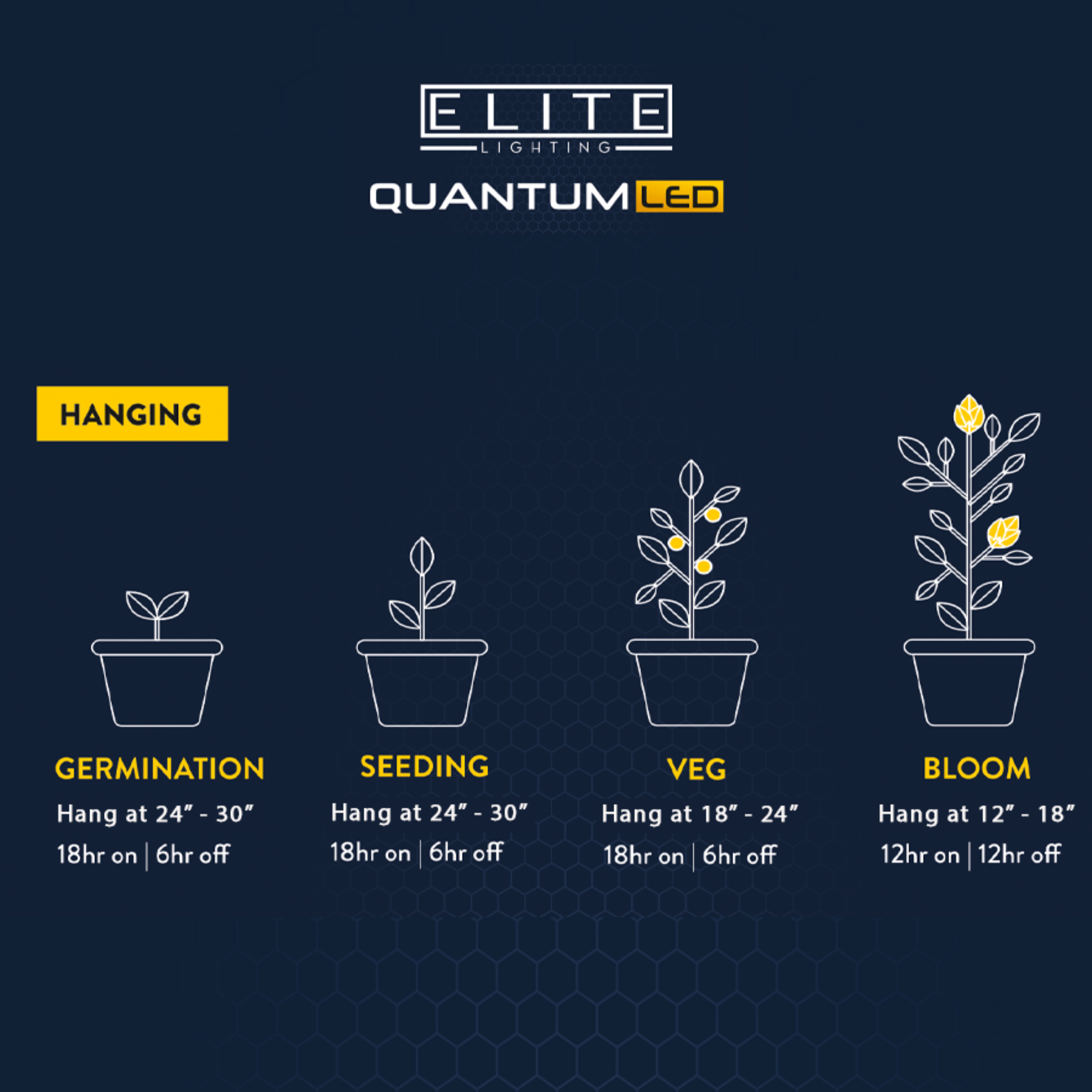 Chart of Elite Quantum 100W LED grow light for hydroponics with Samsung diodes