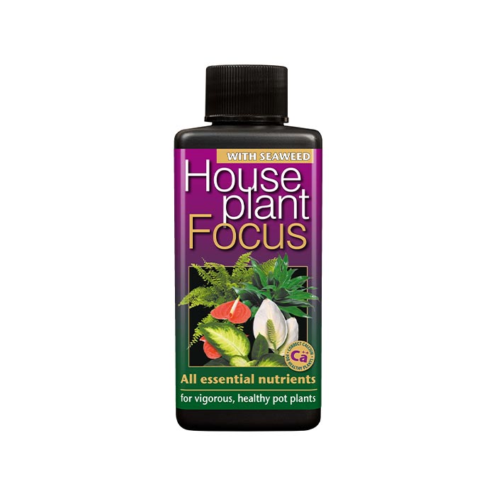Houseplant Focus - 100ml