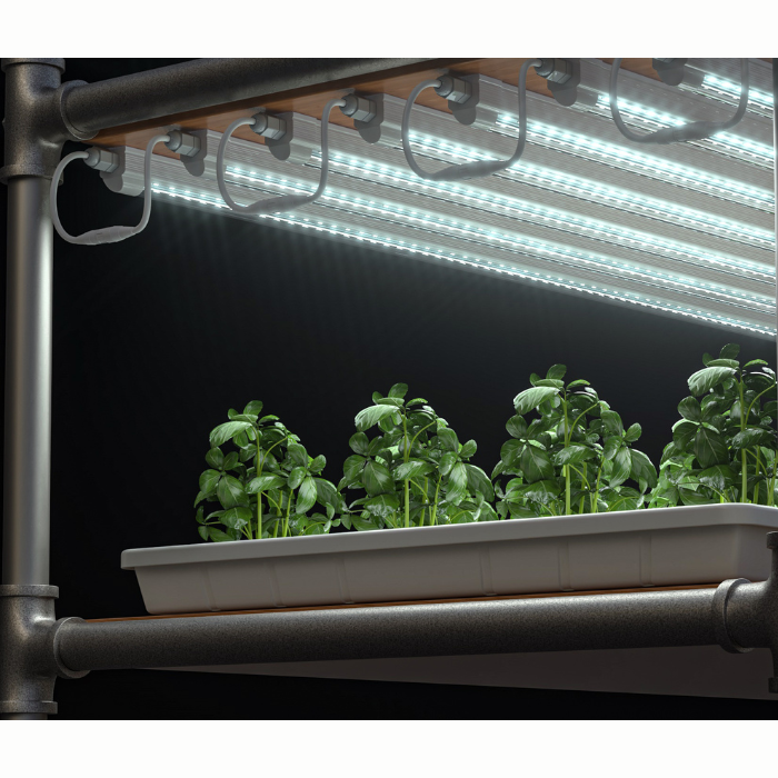 Kaizen Clone LED 18W 2FT - energy-efficient grow light for hydroponics and indoor gardening image of light above plants.