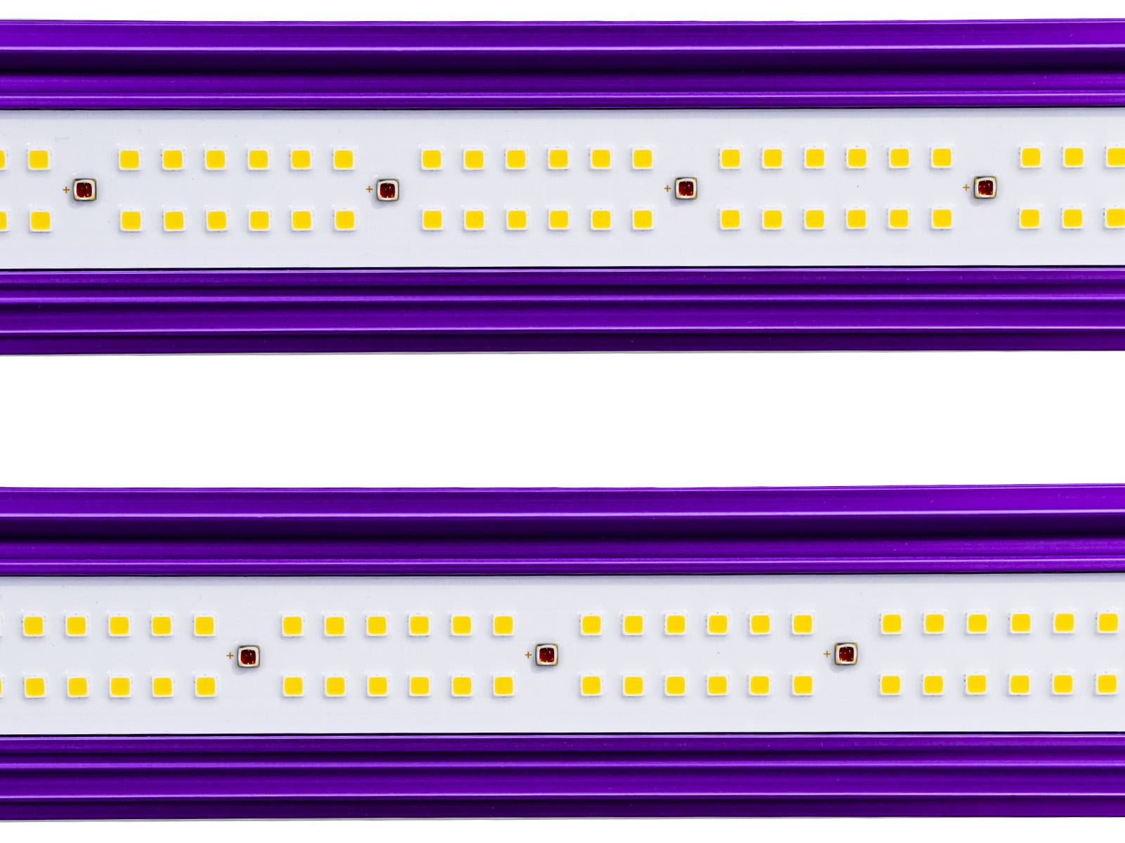 Lumatek Zeus LED 465W Pro 2.9 grow light zoomed in for hydroponics