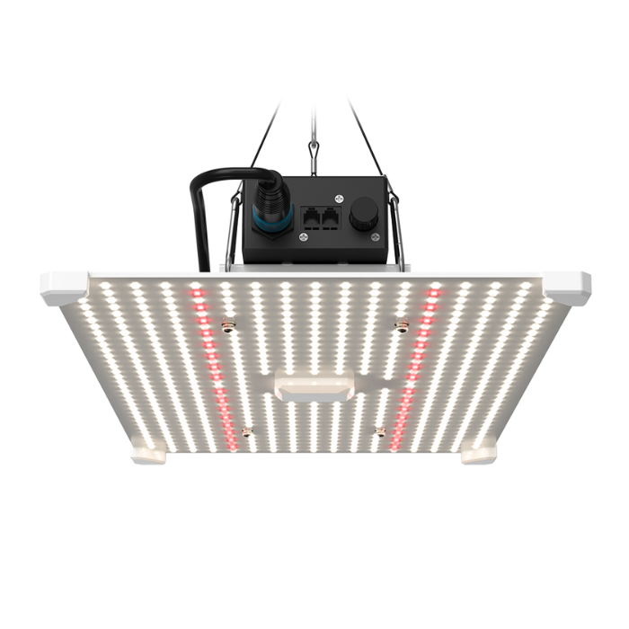 Image of Lumii Black Blade LED 200W grow light from under for hydroponics with 3500K spectrum and 660nm Osram chips, ideal for plant growth