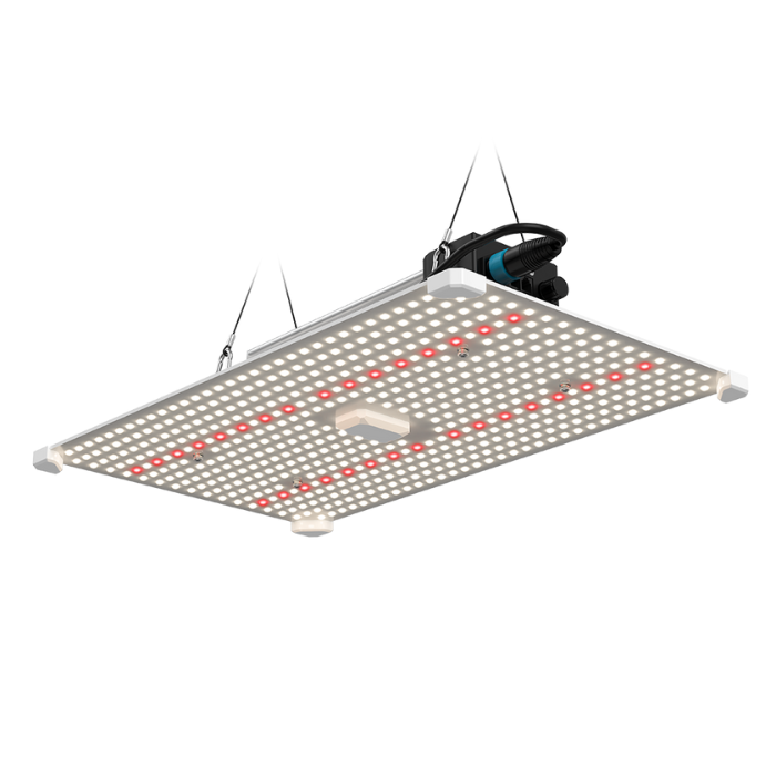 Image of Lumii Black Blade LED 200W grow light for hydroponics with 3500K spectrum and 660nm Osram chips, ideal for plant growth