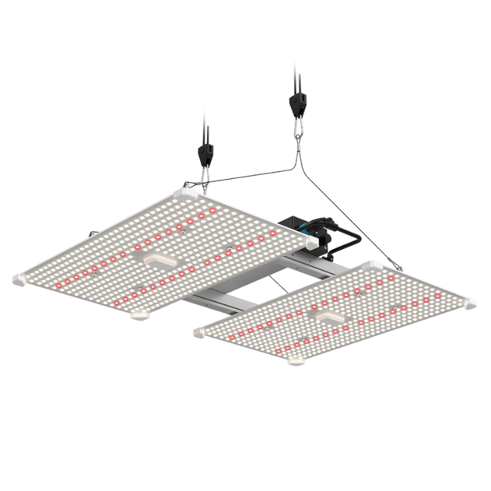 Lumii Black Blade LED 400W grow light hanging for hydroponics and indoor gardening