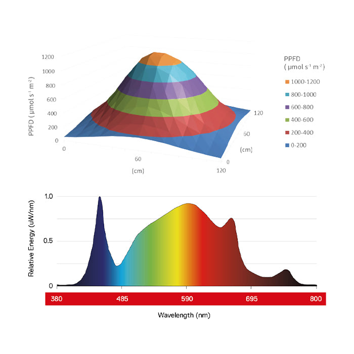 Maxibright Daylight 300W LED Grow Light for hydroponics graph, full-spectrum, energy-efficient lighting