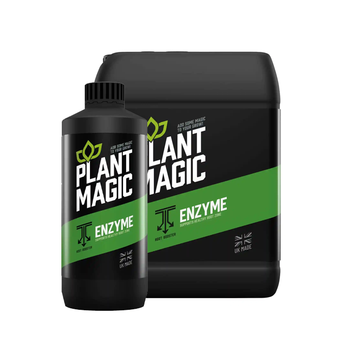 Plant magic enzyme