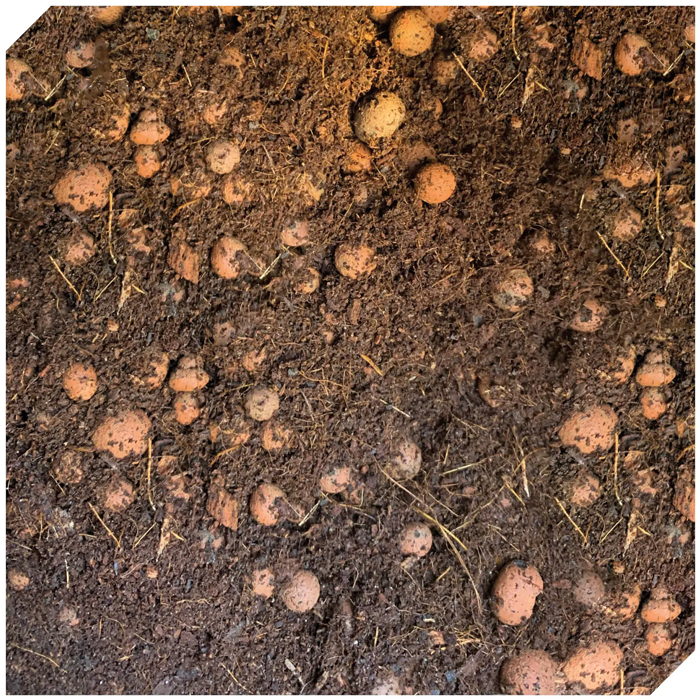 Plant Magic 60/40 Clay Pebbles/Coco - 50L 2