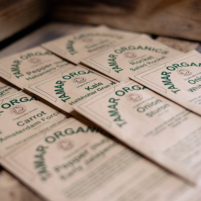 Organic Kale Seeds - Halbhoher Grun Kraser
