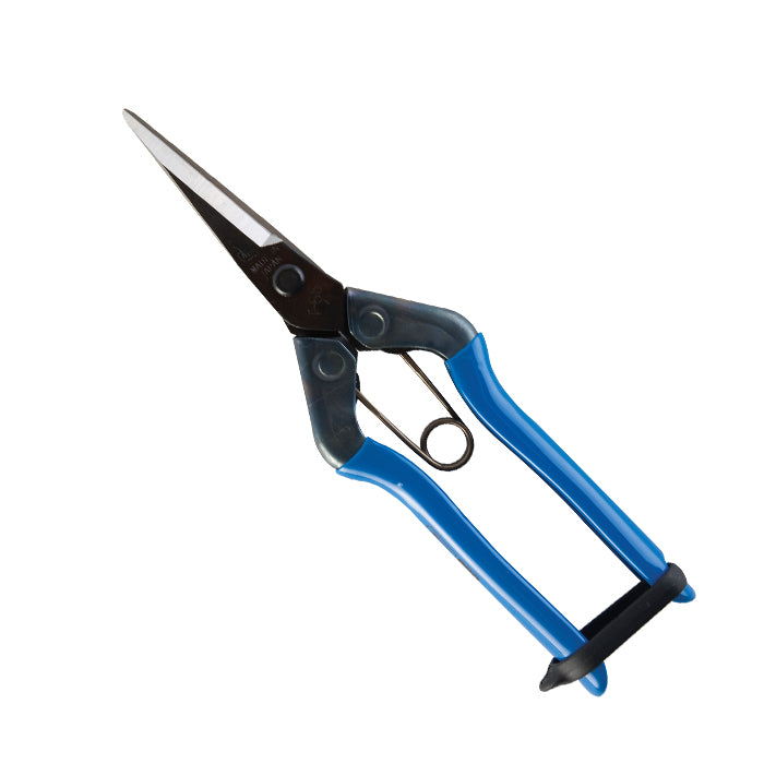 Blue Chikamasa Scissors